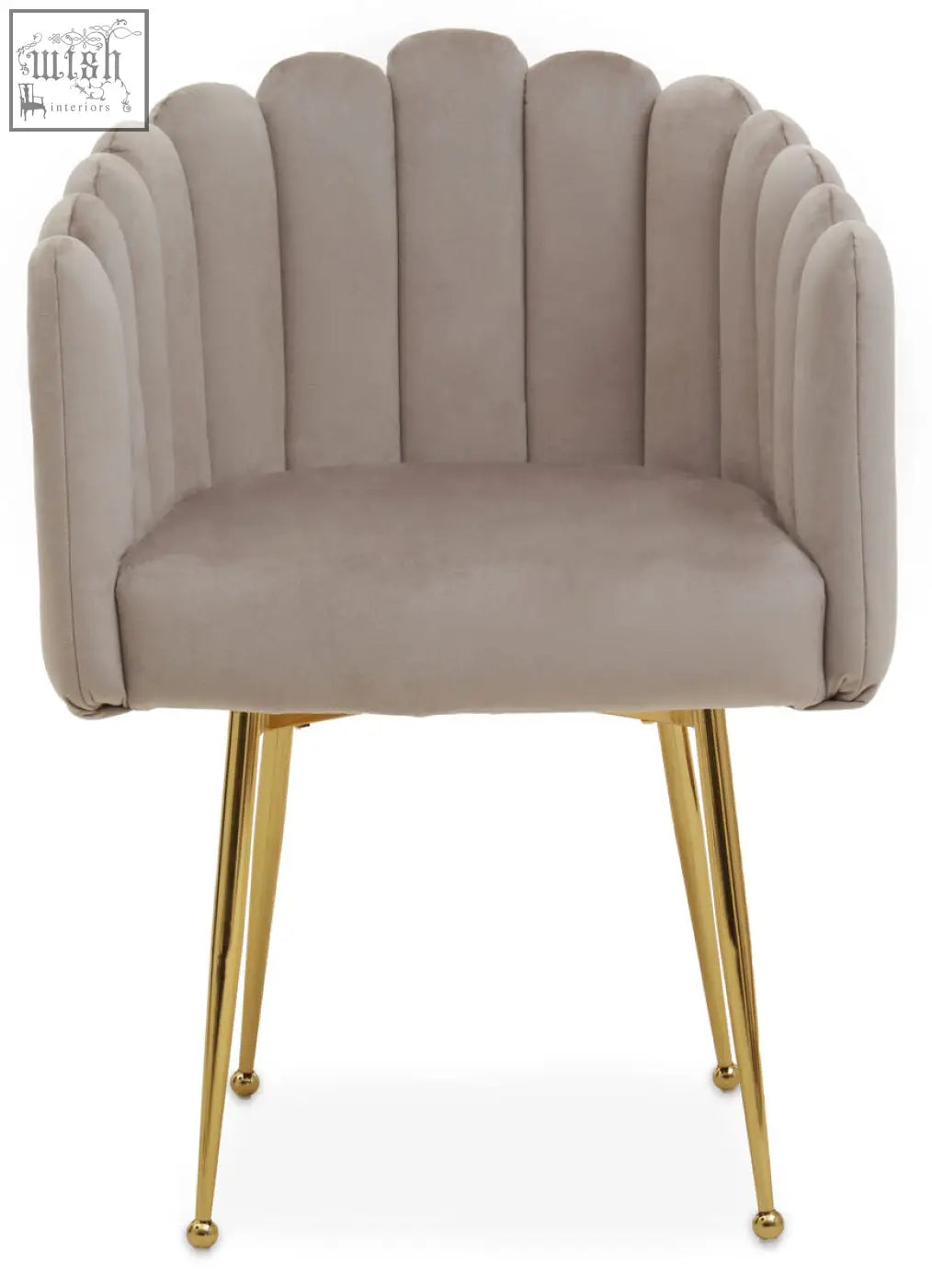 Beige mink velvet scalloped dining chair with gold tone metal legs perfect for stylish dining rooms