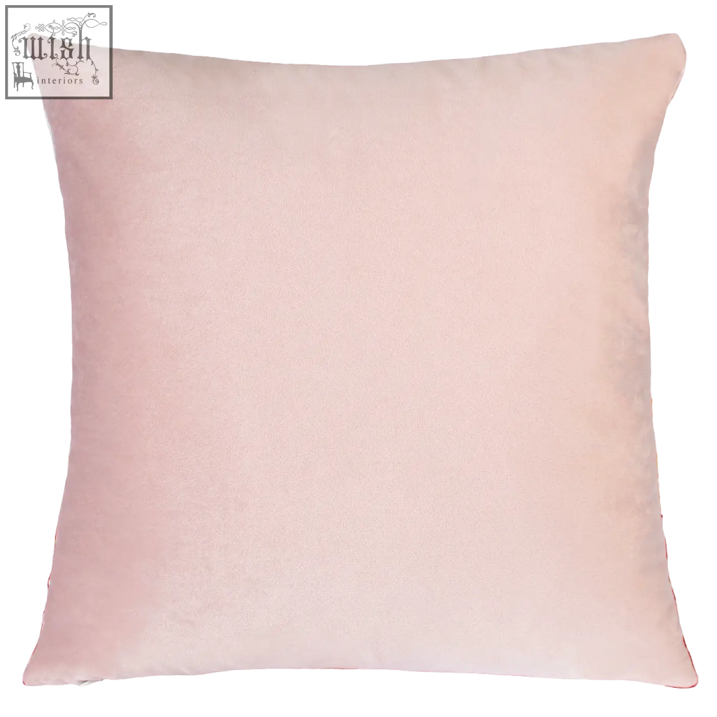 Be nice or leave needlepoint cushion with soft blush pink velvet and plush textured surface for cozy decor
