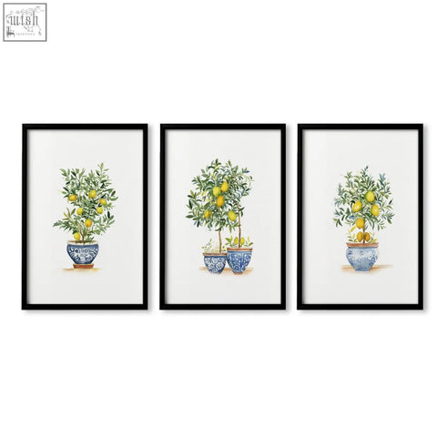 Set of three framed bedroom pictures featuring french country lemon tree watercolor prints in blue and white pots