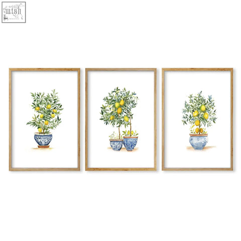 Set of three framed bedroom pictures featuring french country lemon tree watercolor prints in blue and white pots