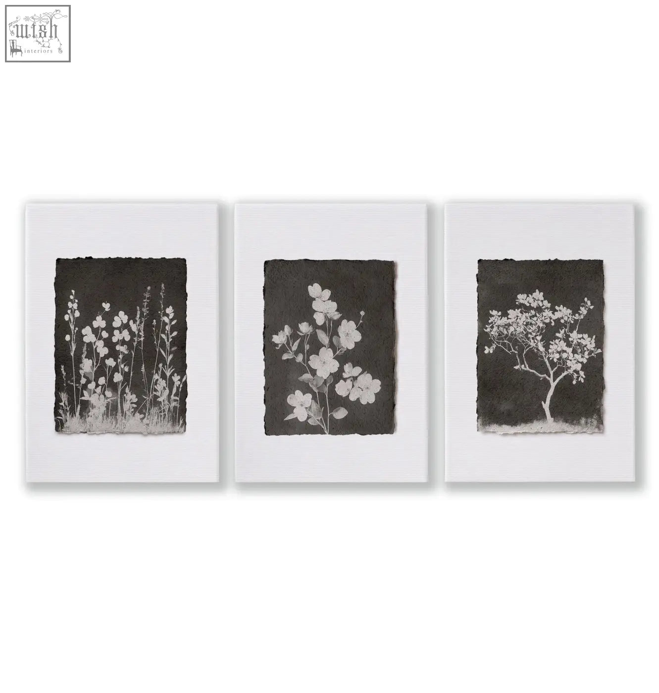 Set of three framed french country botanical wall art with white wildflowers on dark paper for living room decor