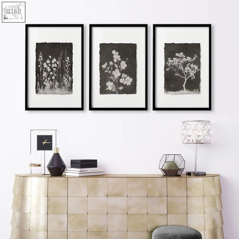 Three black-framed french country botanical wall art with white floral silhouettes on dark paper for living room decor