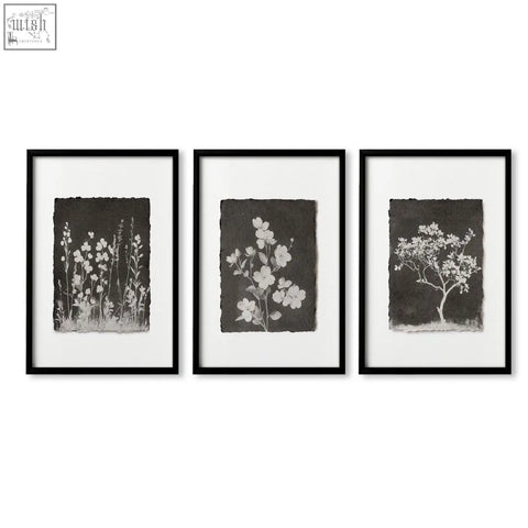 Set of three black-framed french country botanical wall art with white wildflowers on dark textured paper for living room