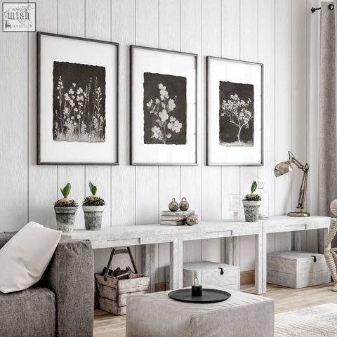 Three framed black and white french country botanical wall art prints with dark floral and white wildflowers for living room