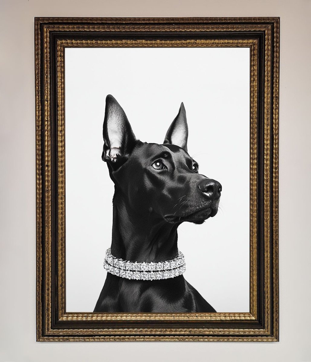 Black Doberman Diamond Neckless Framed Poster