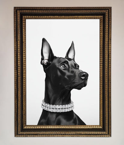 Black Doberman Diamond Neckless Framed Poster