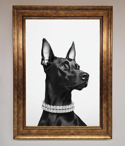 Black Doberman Diamond Neckless Framed Poster