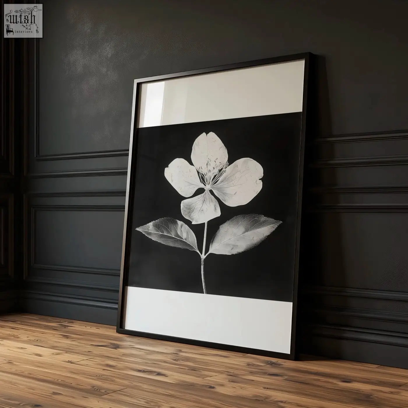 Black framed picture of delicate white flower with detailed petals and leaves on black background with off-white borders