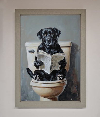 Black Lab On The Toilet Framed Poster