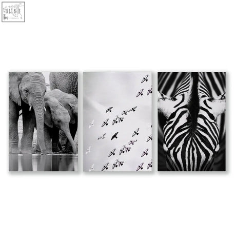 Set of three black white photography canvas prints featuring african wildlife elephants zebra and birds in flight wall art