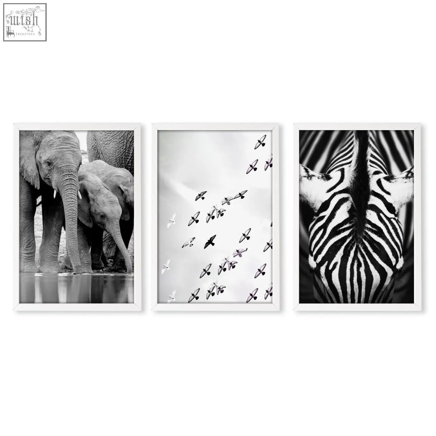 Set of three black white photography prints featuring framed african wildlife elephants zebra and birds wall art