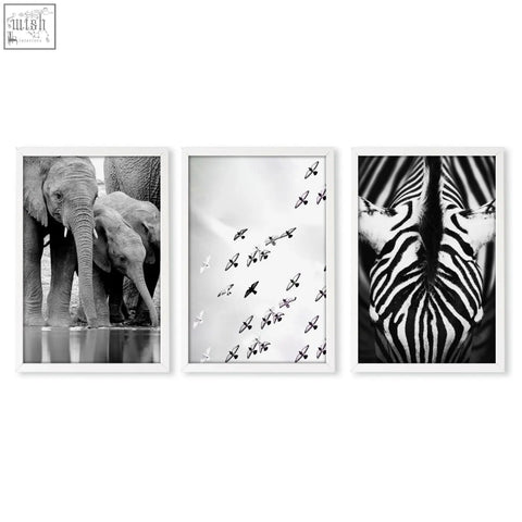 Set of three black white photography prints featuring framed african wildlife elephants zebra and birds wall art