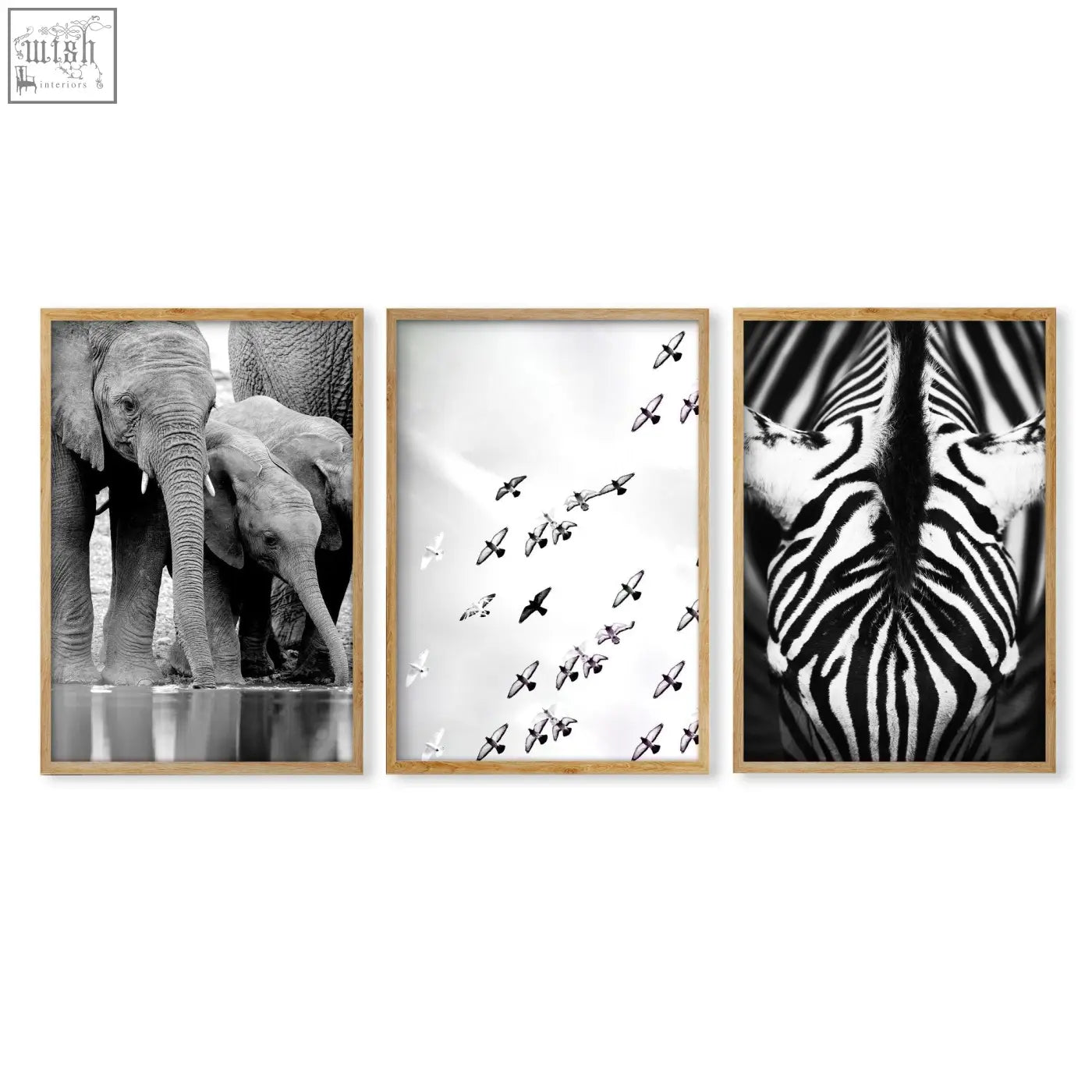 Set of three black white photography prints featuring elephants birds in flight and a zebra in framed wall art