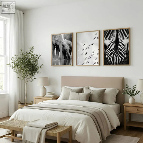 Three framed black white photography prints of elephants zebra and birds hanging above a bed wall art set of 3