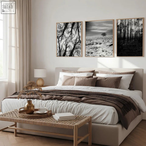 Set of three black white photography prints with tree silhouettes in thin wooden frames winter nature wall art