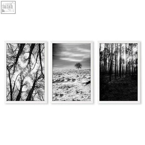 Set of three black white photography prints featuring tree silhouettes in winter nature landscape wall art