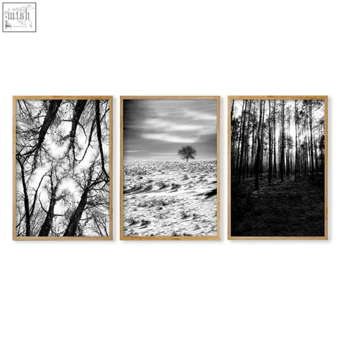 Set of three framed black white photography prints featuring winter nature landscapes in light wood frames for wall art