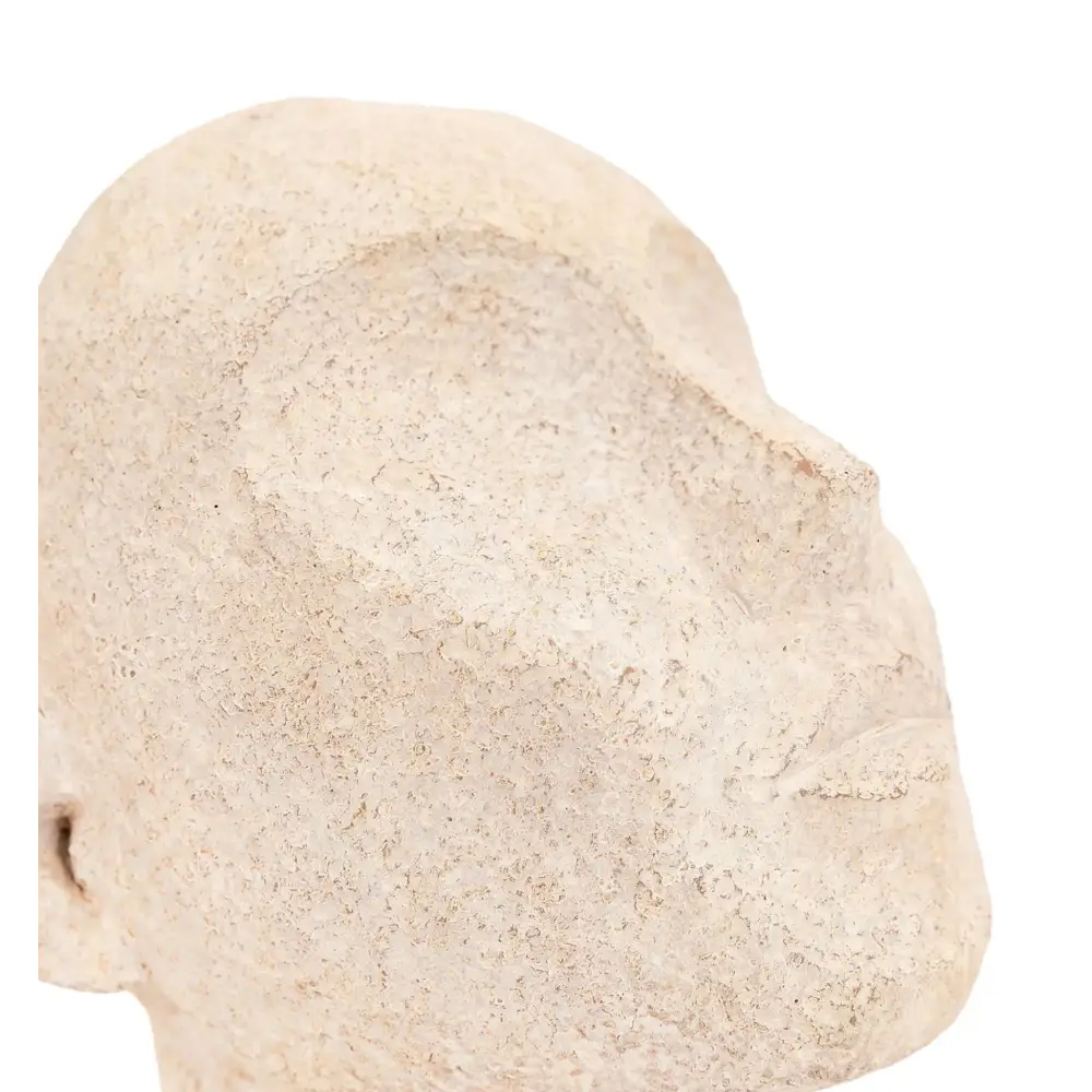 Bookend Head Sculpture - Bookend