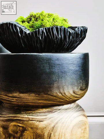 Black textured ceramic bowl with curved textured black design filled with vibrant green moss