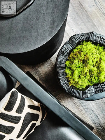 A black ceramic curved textured black bowl with a fluted rim holding vibrant green moss