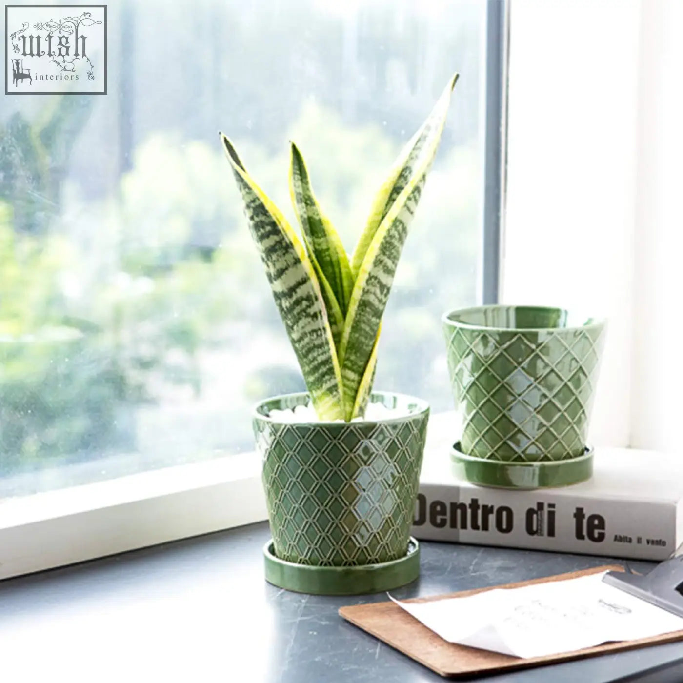 A vibrant green snake plant in a modern striped emerald green ceramic plant pot with drainage hole for indoor decor