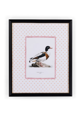 Duck IV Framed Print- The Prettiest By Far