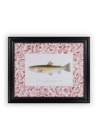 Fish II Framed Print- A Quiet Classic with Personality
