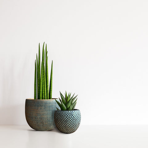 Two teal gold ceramic plant pots with textured grid and dotted patterns holding green succulents in a pot set