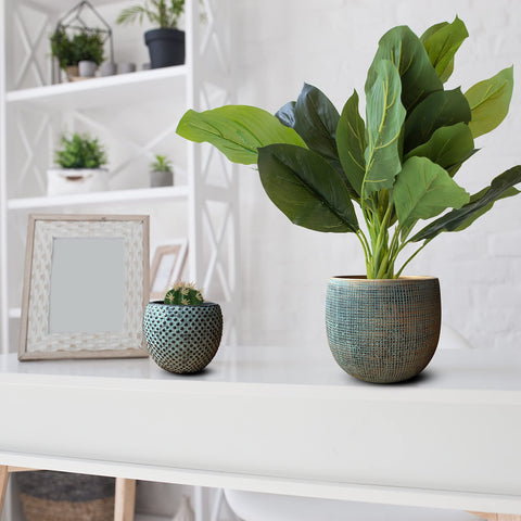 Textured teal ceramic plant pot from a green gold plant pot set with lush green leaves for indoor use