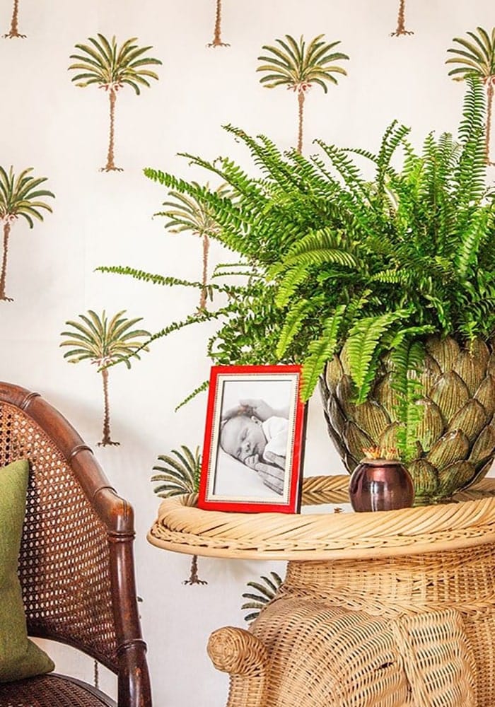 Lush green fern in textured woven wicker pot next to cherry red miky photo frame 6x4 for stylish display