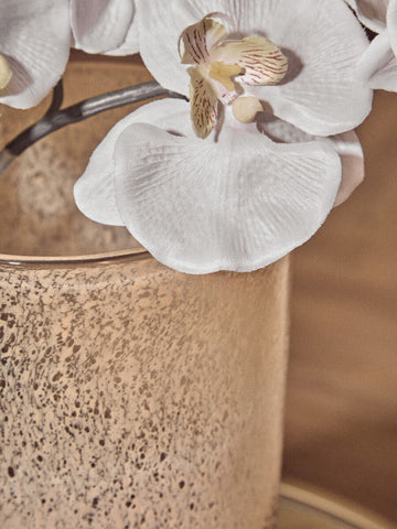 White orchid with delicate petals and brown veining in a chiara medium natural sand effect vase