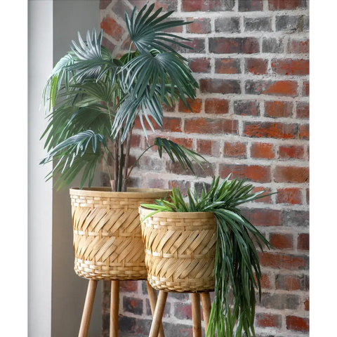 Chinese Fan Palm Tree 117cm - artificial tree