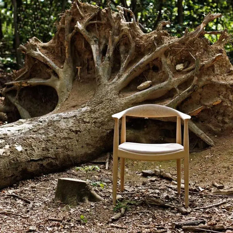 Classical Kennedy Dining Chair, Light Oak｜ DC Concept