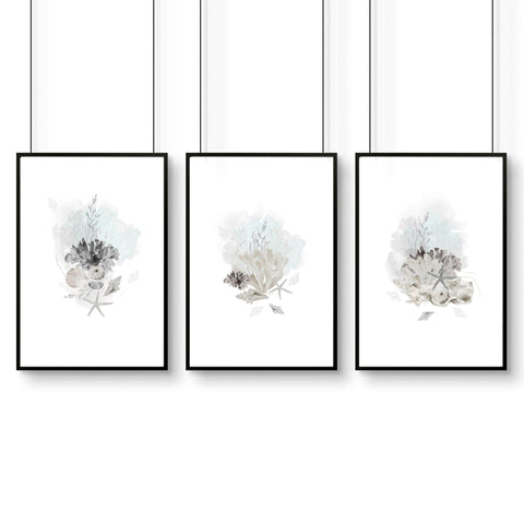 Home Office wall art | set of 3 Coastal Seashells artwork prints