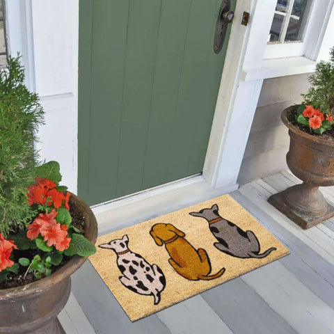 Coir Cats/Dogs Mats 45x75 cm | 132 - Doormat