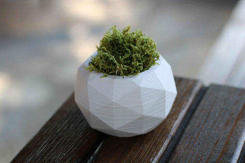 White high quality concrete diagonal pot with vibrant green moss in a geometric diagonal pot design