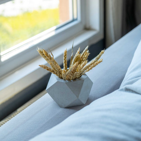 A geometric gray concrete polygonal pot holding golden wheat stalks as a stylish white concrete vase