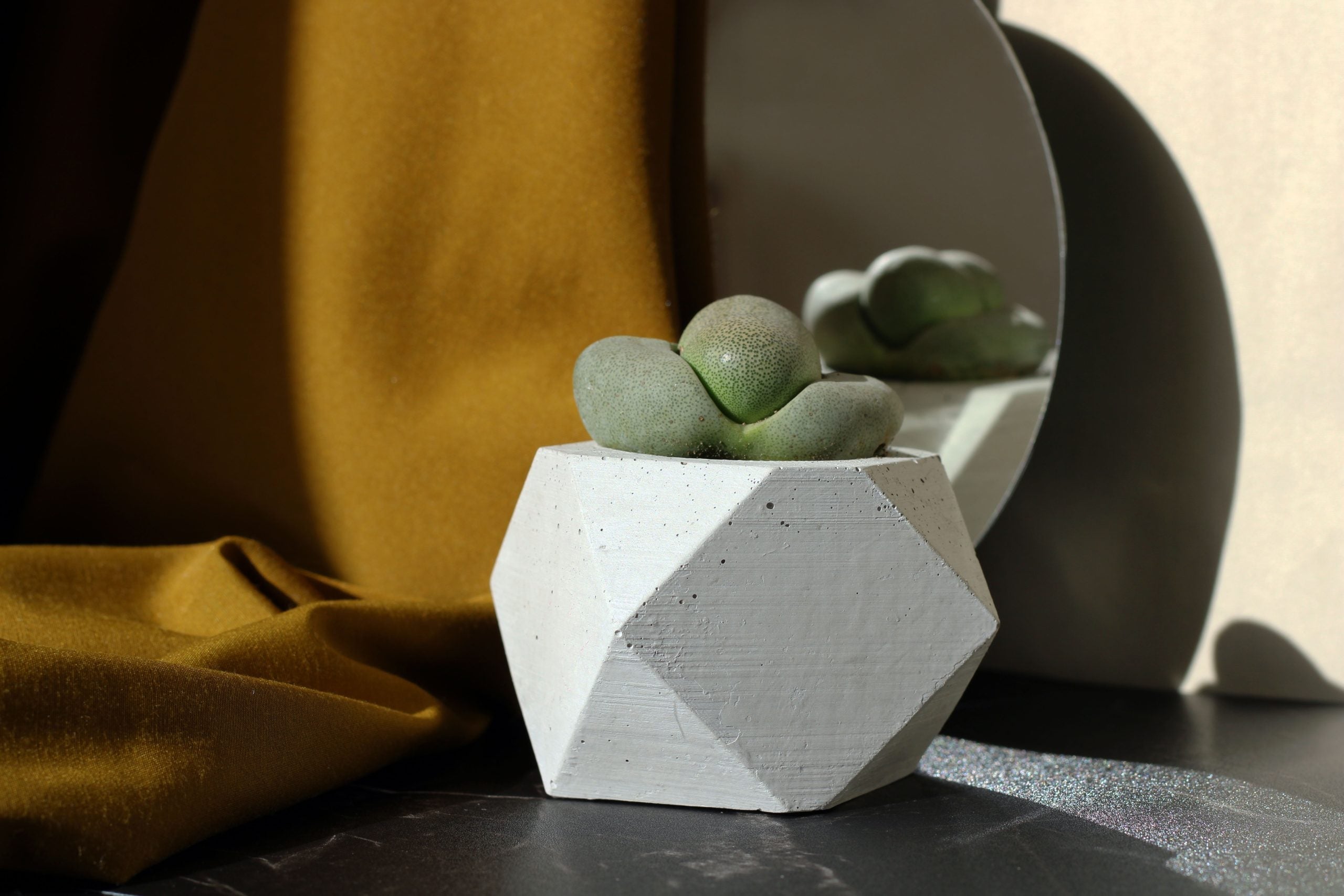 A white concrete polygonal pot holding a small green succulent in a geometric design planter
