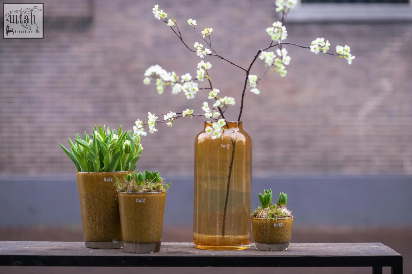 A tall amber conic vase from the dutz collection made of mouth blown thick glass with bubbles holding white blossoms