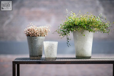 Three textured speckled ceramic planters with dried flowers alongside mouth blown thick glass conic vase from dutz collection