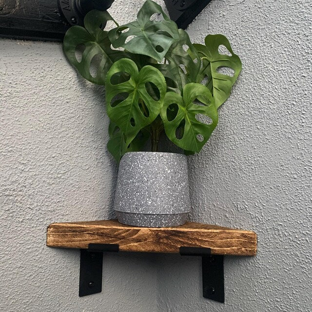 A vibrant green monstera plant in a glittery silver pot on a wooden triangular wall shelf corner shelf with brackets