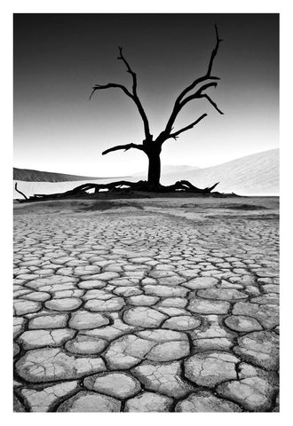A fine art photo by david ballam showing a solitary leafless tree in silhouette over cracked earth in namibia