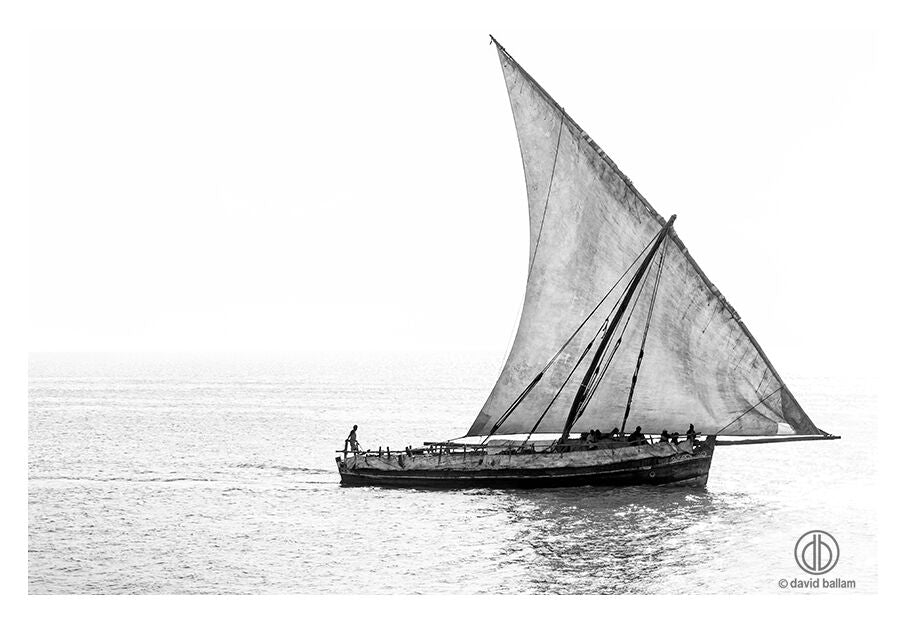 A traditional wooden sailboat with a tall triangular sail glides on calm water fine art by david ballam zan 56