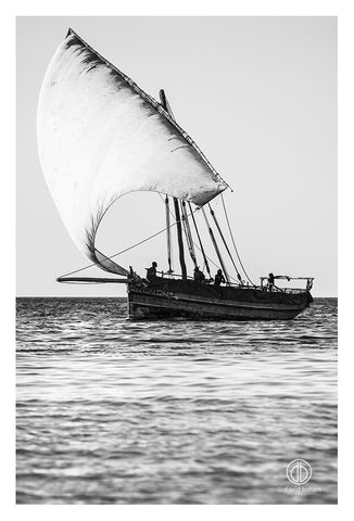 A fine art wooden sailboat by david ballam with a large curved white sail gliding on calm waters