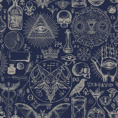 Dark blue diablo wallpaper with intricate white mystical symbols skulls and occult line drawings for bold decor