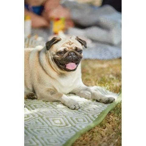 Diamond Green Hand-woven Rug - Rugs