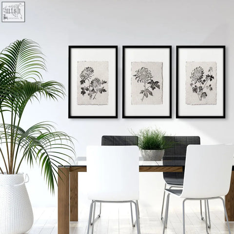 Three black-framed botanical wall art prints with inked chrysanthemum illustrations on off-white textured paper for dining room