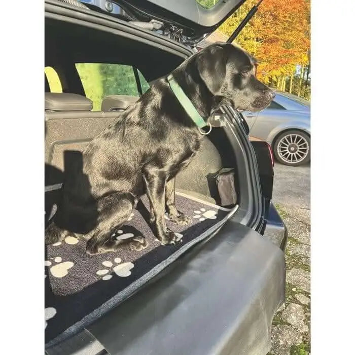 Dog Themed Washable Mat and Runner - Doormat