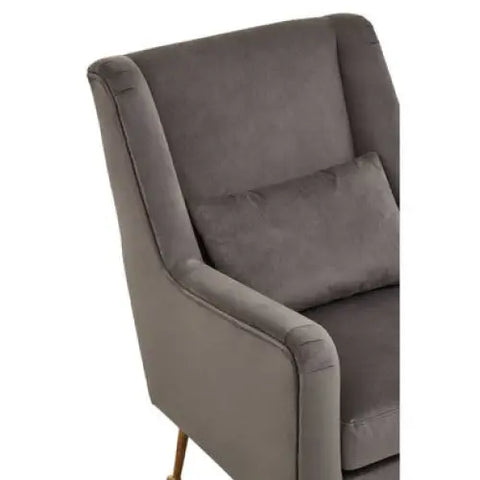Doucet Grey Velvet Chair With Gold Finish Legs - Arm Chair
