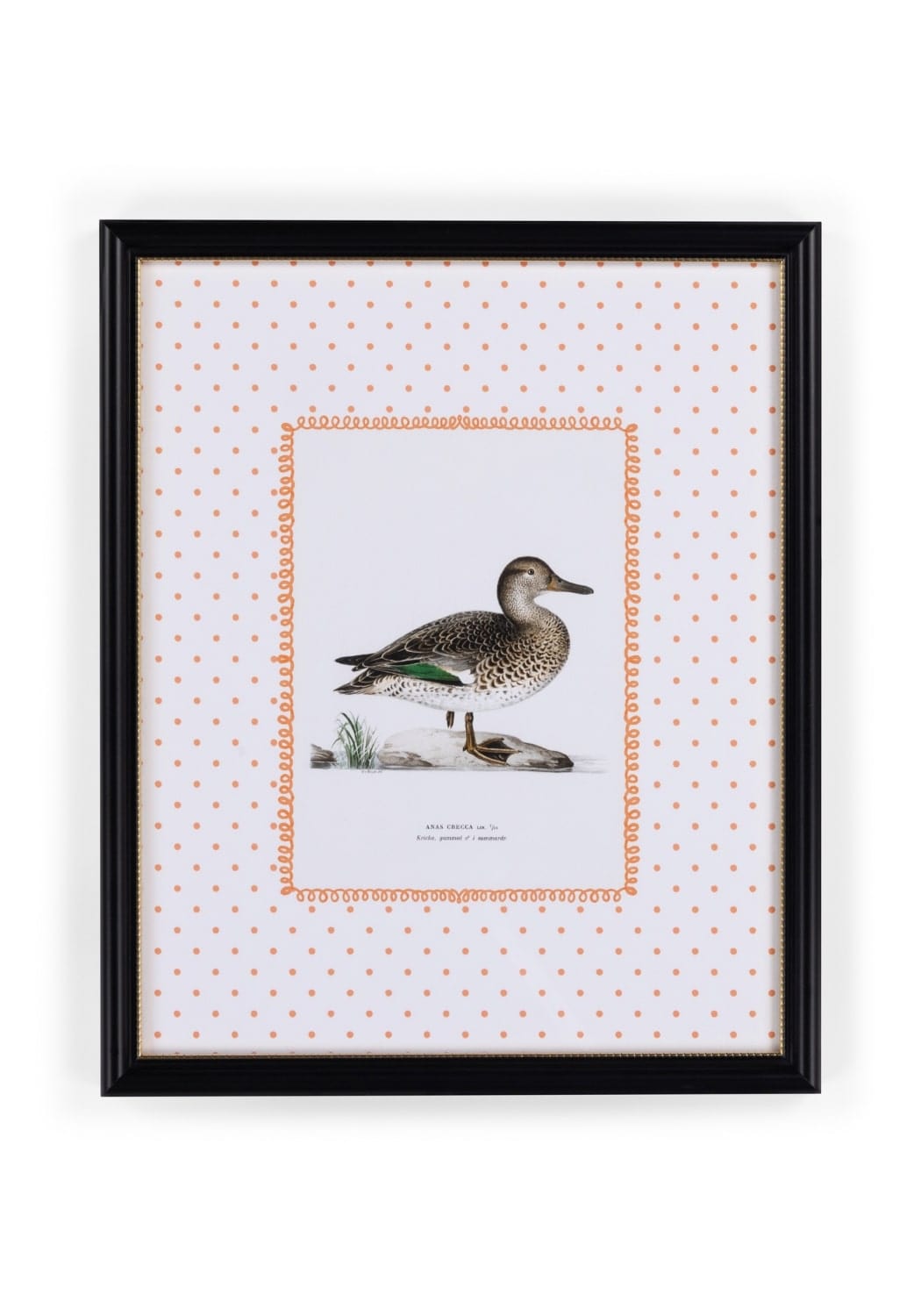 Black-framed duck ii art print with detailed brown green duck illustration on white background with rose gold polka dots